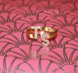 Two Initial Ring